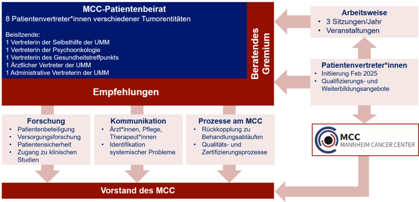 Organigramm des MCC-Patientenbeirats mit Struktur von Patientenvertreter*innen, beratendem Gremium, Empfehlungen, Forschung, Kommunikation, Prozessen am MCC und Vorstand des MCC