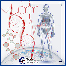 Schematische Darstellung mit DNA-Doppelhelix, Molekülstruktur, menschlichem Skelett und Logo des Mannheimer Comprehensive Cancer Center