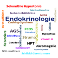 Endokrinologie